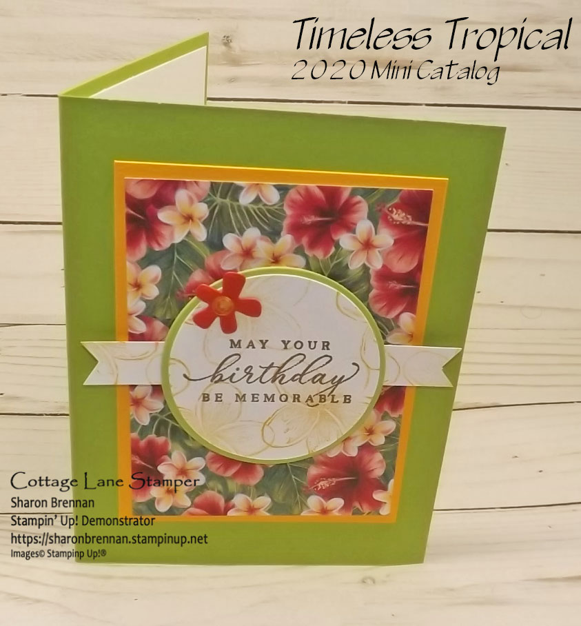 Timeless tropic happy birthday  3 