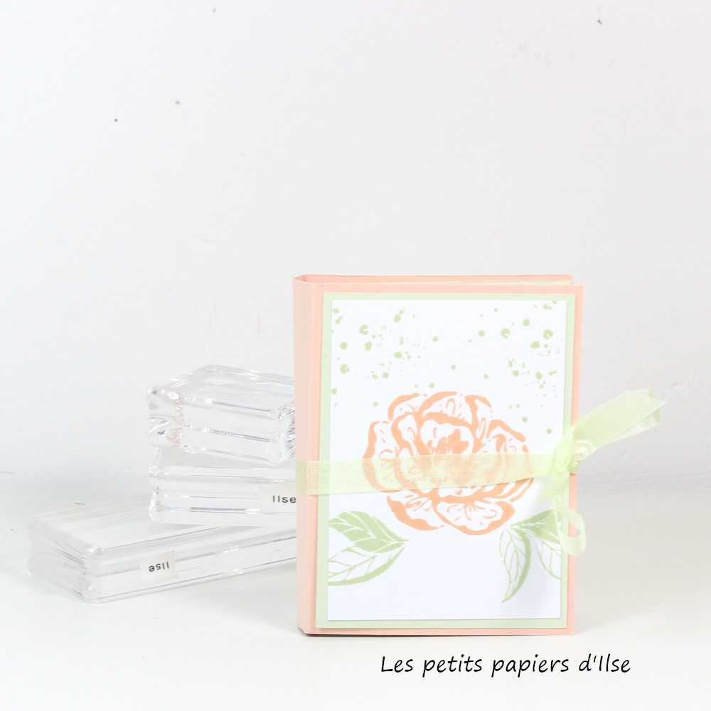 Mini album poche vignette