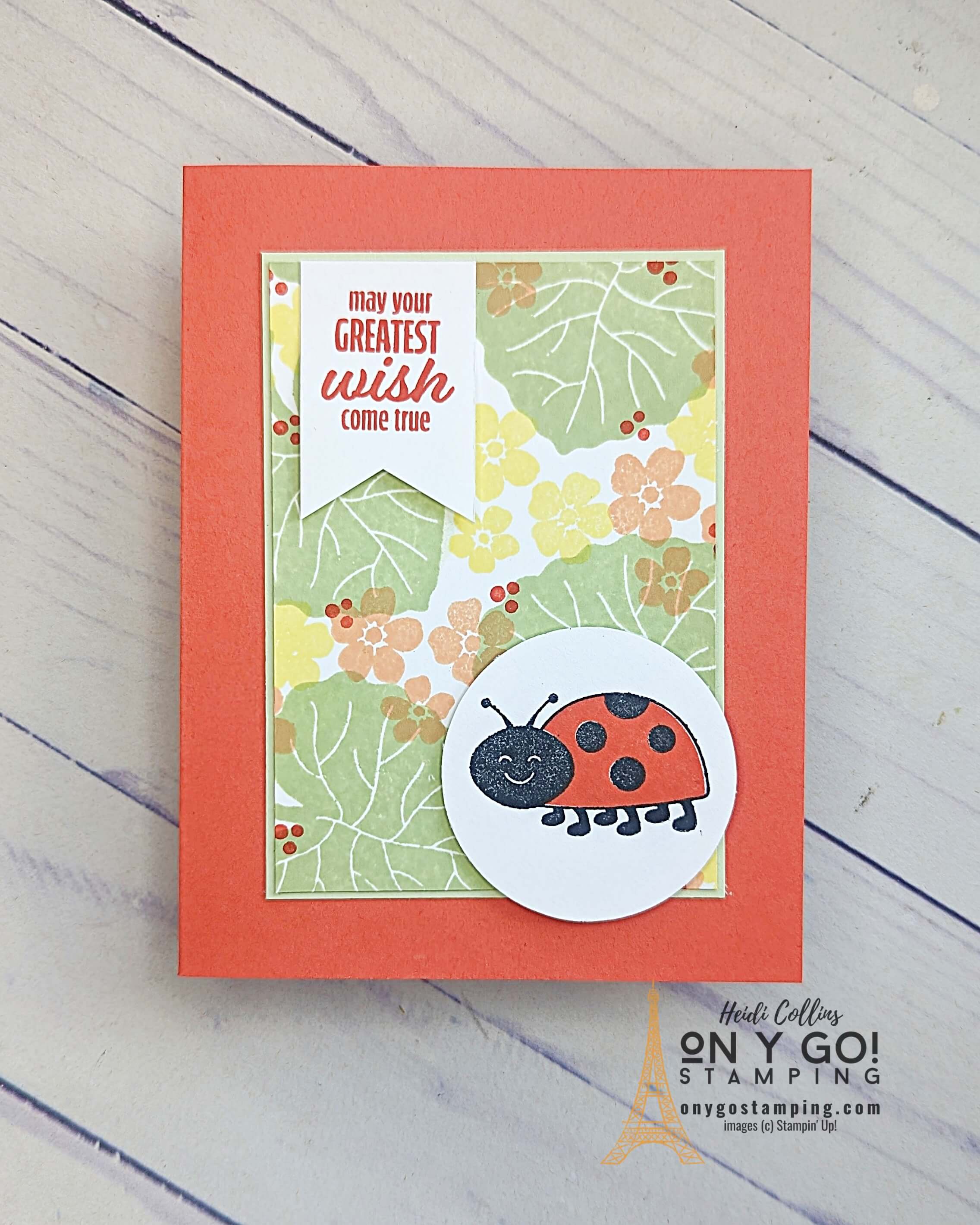 Ms hello ladybug with banner