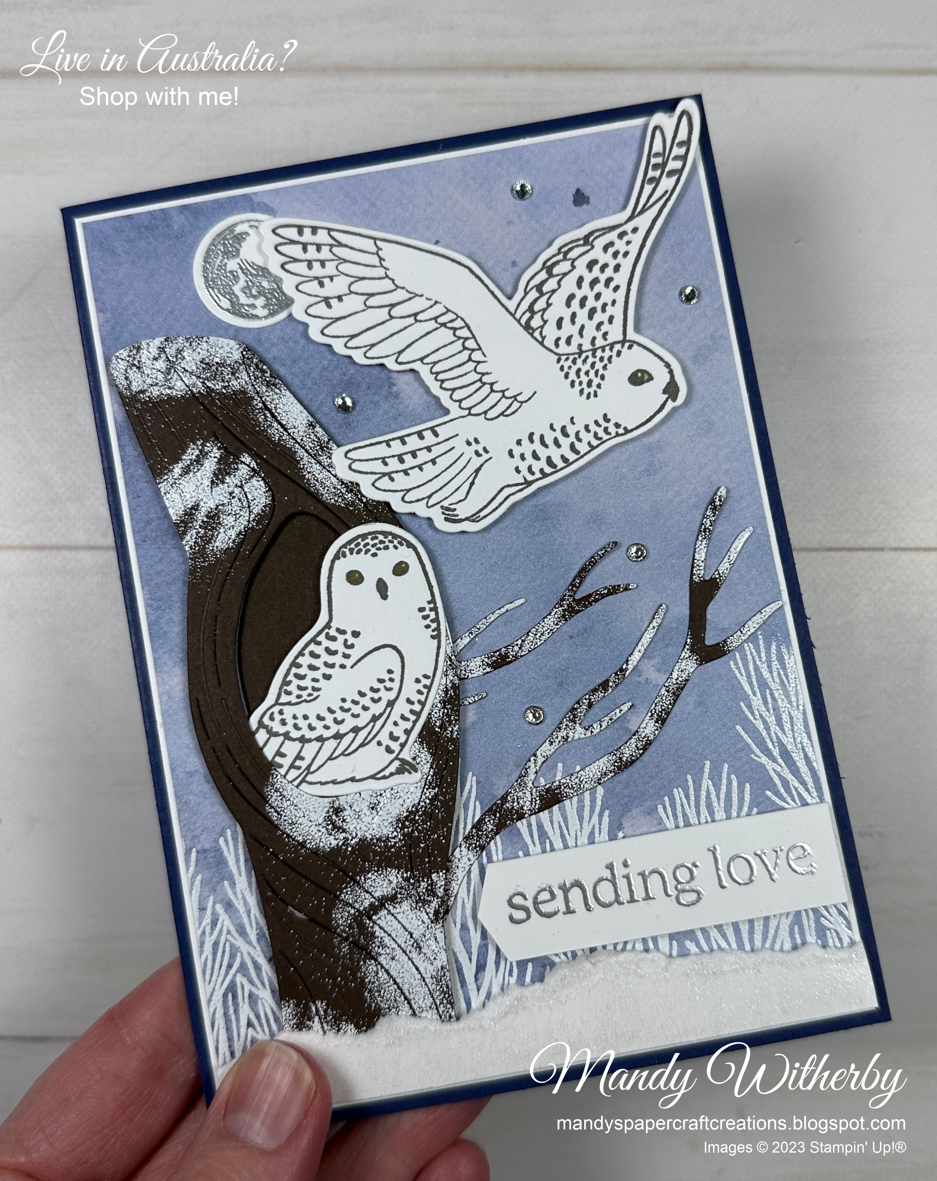 Snowy winter owls 1  1 