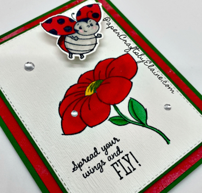 Little lady bug ss 2