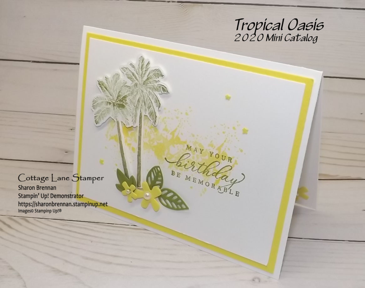 Tropical oasis palm tree  2 
