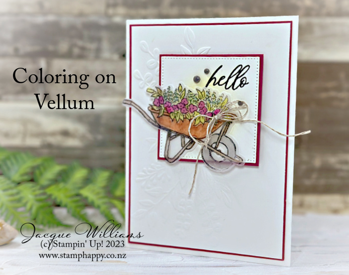 Stampin up meandering meadow garden meadow coloring on vellum blends