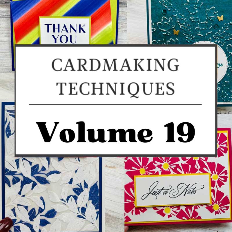 Technique class volume 19