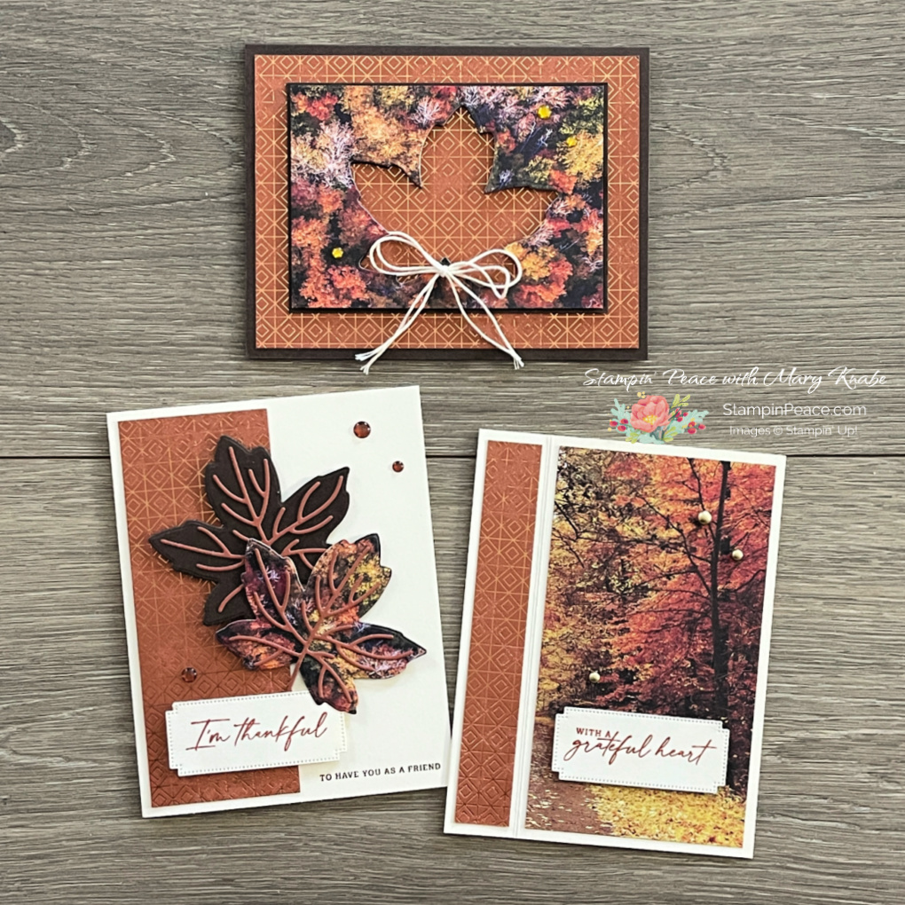 Stampin  up  all about autumn suite   mary knabe 