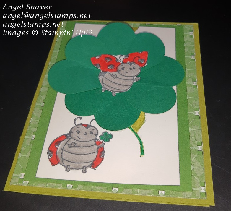 Ladybug st patricks magnet card outside