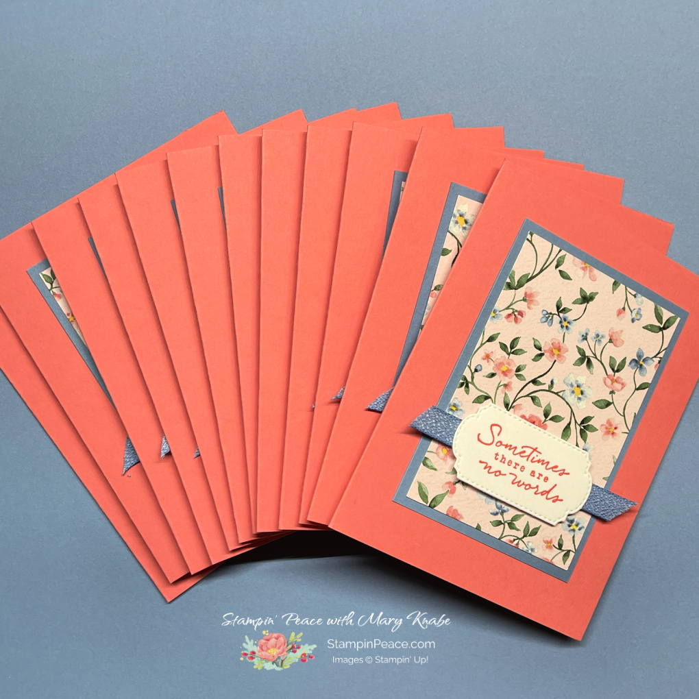 Stampin  up  thoughtful expressions bundle and flight   airy dsp  sab 2024    mary knabe