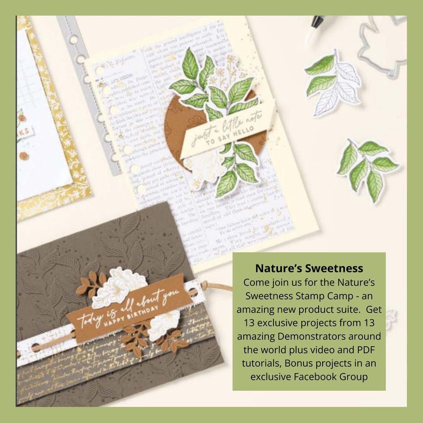 Nature s sweetness stamp camp graphic feb 2024