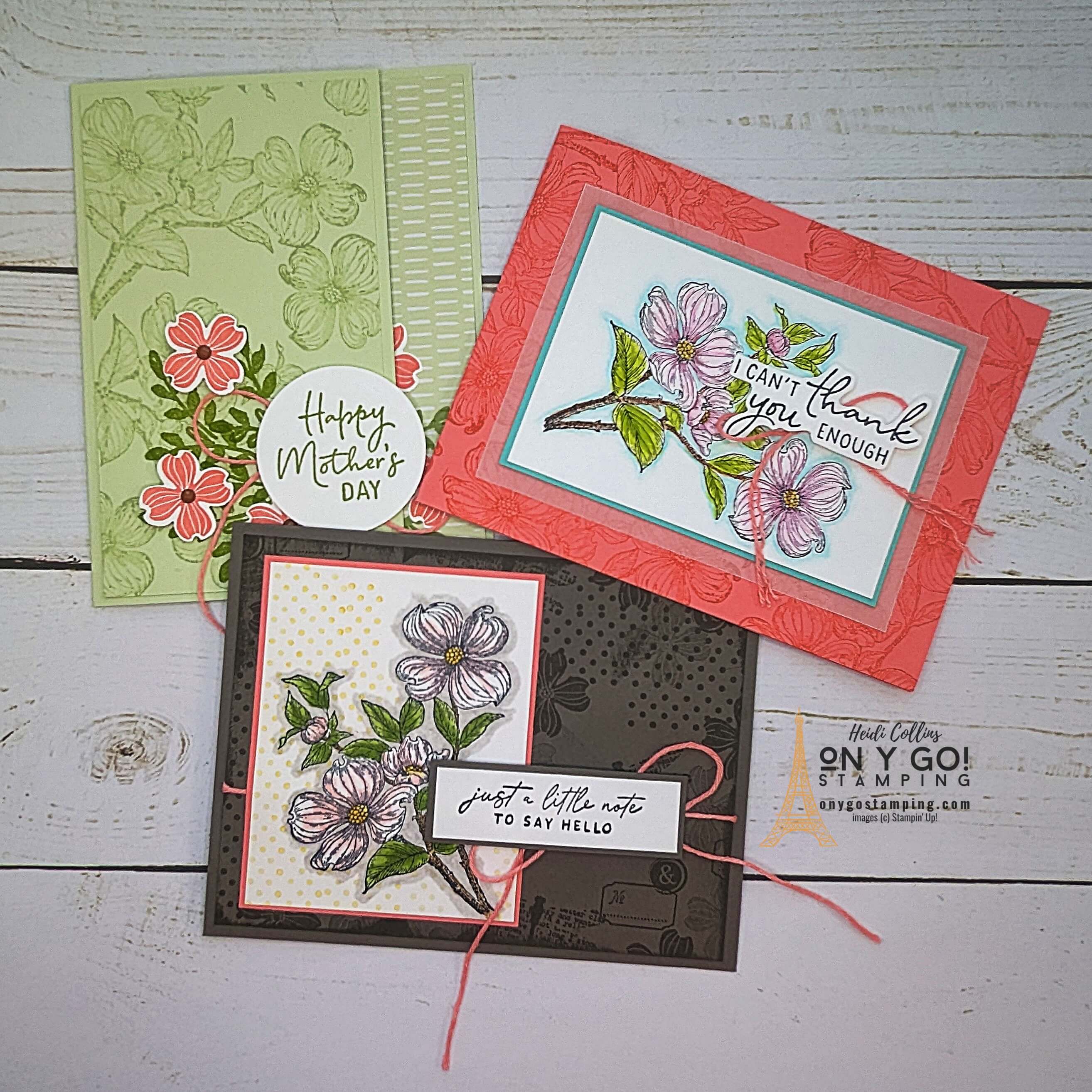 Detailed dogwood group