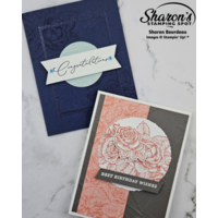 Thumb 06f31ebb 942c 41d3 b9c1 38552782f8d9