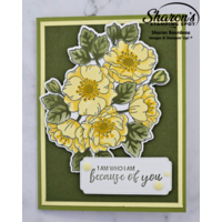 Thumb ae61a501 8be3 4704 93a9 5dd3234a189b