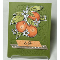 Thumb 5e066def 08e7 44ed 9348 c37b2138ce80