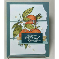 Thumb 4c3b8507 884e 4281 b017 3e69ab205baf