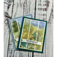 Thumb 354aa26b 6213 483d a2fa fda813c682b3