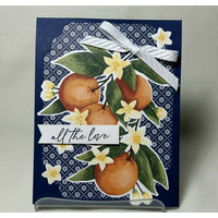 Thumb 7292608d ed94 4302 986f ea863fafd8f8