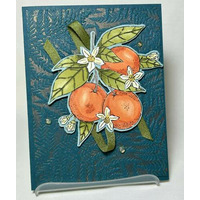 Thumb 90298107 3058 4440 b219 4037dc5837c5