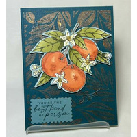 Thumb cf670848 2467 4e66 8f30 be3e8b9c9b18