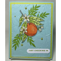 Thumb c32afd5e 3660 4cca b550 040b0a13ab7a