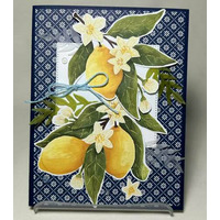 Thumb 34027fc5 7b4b 44a9 8f7d 0d014ebb98f3