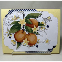 Thumb 6f798267 a33f 4621 9df2 4d76c8be0b15