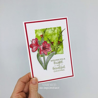 Thumb 169d17e0 2b96 4b06 a7b6 29235d83a601