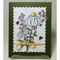 Thumb 34c88f90 63f8 4250 9ec3 ce54d61832ff