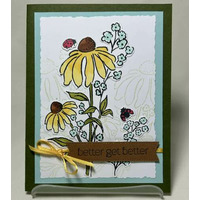 Thumb 54f98305 eb85 4eec ba46 4a5029e50224