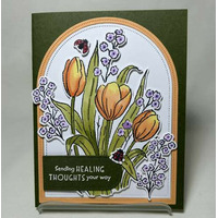 Thumb 52bfad60 d9dd 4e5a aff9 6cc6caf25b1e