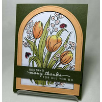 Thumb 3dffe9f5 21d1 46df 95fd 807fe6f2093b