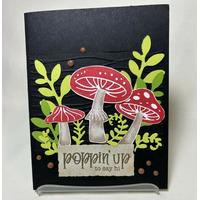 Thumb 4480b709 ef82 4776 8277 b9d8c678f9d7