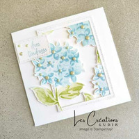 Thumb 4b4d6a81 e40b 48e9 a76d 808cd96cfa19