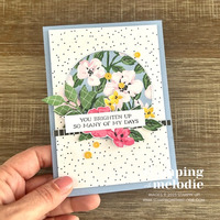 Thumb 46395615 94a3 4fe4 84a0 bdf2193a1f56