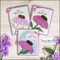 Thumb c03e8cc5 2921 4a6d 9d56 24d0dec01381