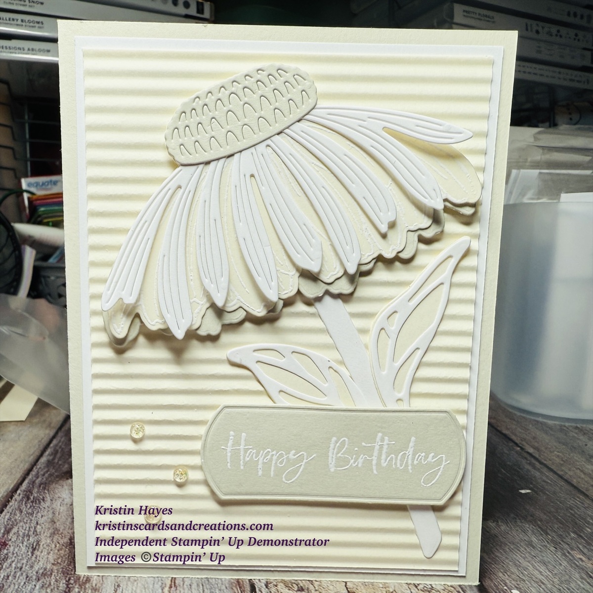 Large 0b19e481 d477 4cbd a000 cce93a8cbb72