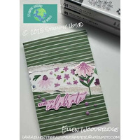Thumb 02d65424 3d5a 4db0 885d 67cdcc6e1578