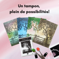 Thumb aa554f2c 9638 4252 9ea3 2b126b0b4365