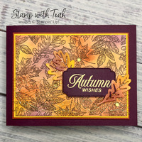 Thumb 7a42bbb7 8dfc 49ab b89b a9c6a4df5a13