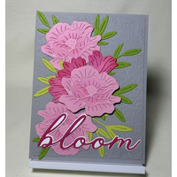 Thumb 067c2dac 7cec 4f9d b2ad 71838eb2bd64