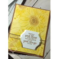 Thumb 0af63399 e470 4ceb 9fd2 20e4c2a0ec44