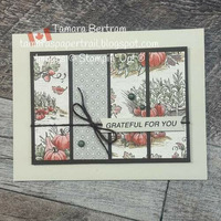 Thumb 0babd79f 0c36 43fa be25 05656fbc498e