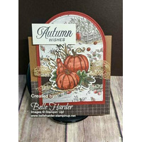 Thumb faacf482 5434 4081 8c13 2deb0aa1f084