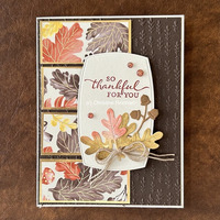 Thumb 590fb656 5ac4 4e86 89a5 cc055948c227