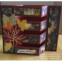 Thumb 7dd1ec5c 7538 434b ab7c 5acb67810b30