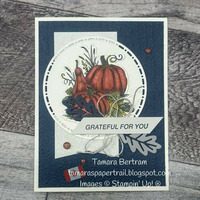 Thumb 4ae44d4a 50f5 4a4f 935d b4343f7790a0