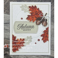 Thumb 1b4fd89b e81f 4a2a b52d 187f41254921