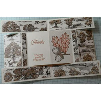 Thumb d37c3f8d 1696 4661 9903 f4845ddea52f