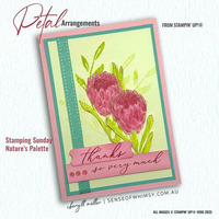 Thumb c3574b9f 4d00 4086 95b8 4186c91e2c9e