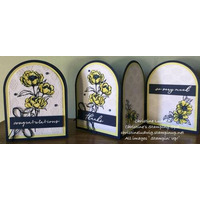 Thumb ff47c963 fec5 4012 a06c f99735cca44f