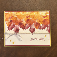 Thumb e7e9fab4 06e2 493d 8177 6c7f8db7122f