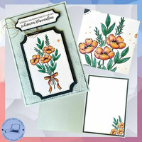 Thumb 968a502e e755 43a2 ba04 ebe2b7688d86